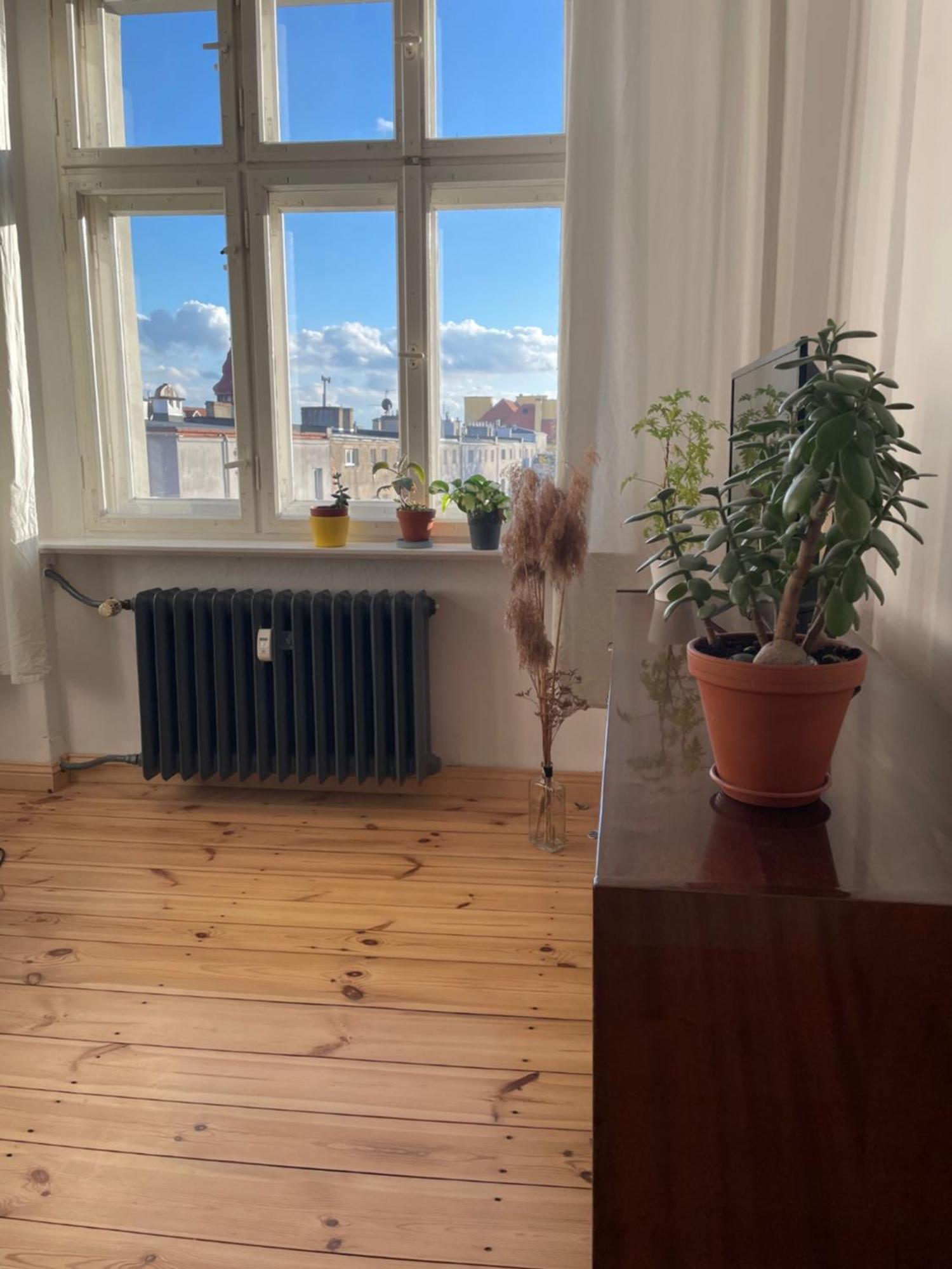 Sentymenty - Apartamenty W Kamienicy Na Mickiewicza Stary Toruń Dış mekan fotoğraf